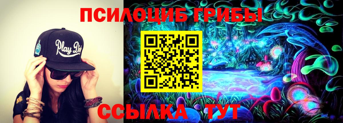 Галлюциногенные грибы Psilocybine cubensis  Вход с VPN  Галлюциногенные грибы ЛСД  Малгобек 