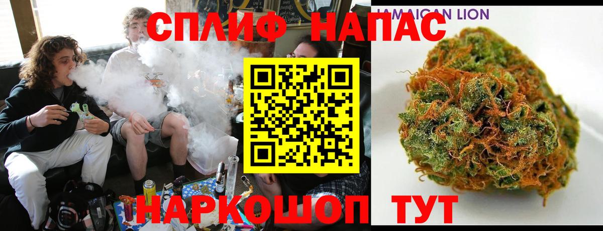 Малгобек  Бошки Шишки MAZAR  Вход с VPN  Конопля гибрид 